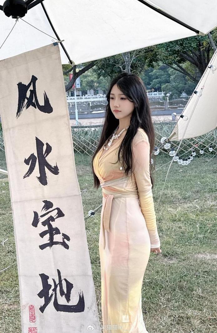 不呆猫作品免费,摄影技巧分享大公开 - 阙知风