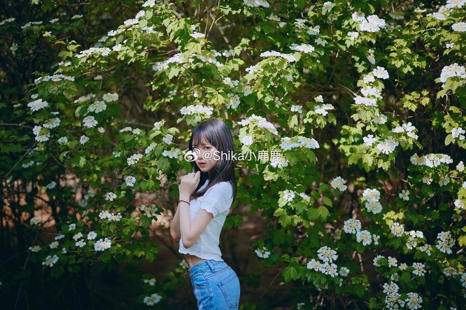Shika小鹿鹿作品在线观看：超美绝版原图带你穿越薰衣草田
