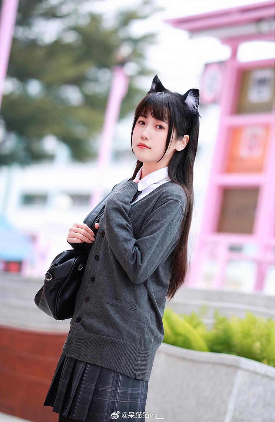 不呆猫推网图，精致原图摄影艺术鉴赏。