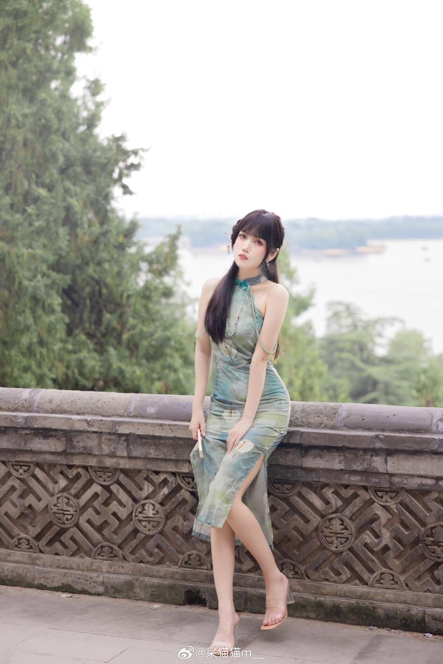 抖娘&不呆猫：猫咪主角的美图