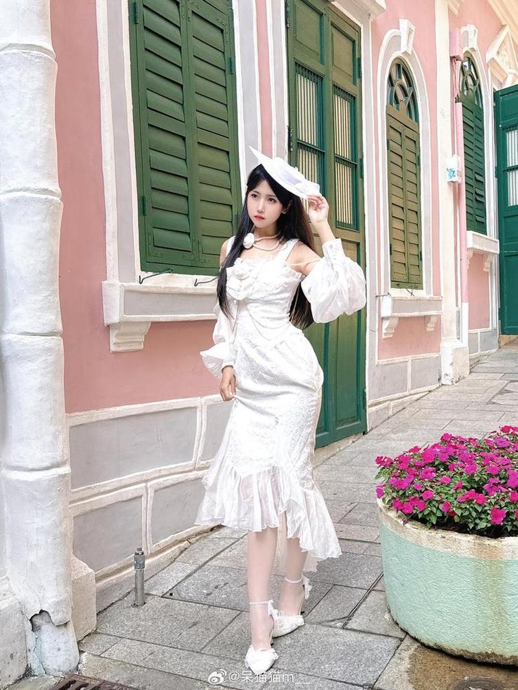 你还没有看过的不呆猫图集：只有美图，没有撕心裂肺的套路