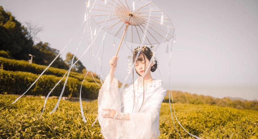 你的负卿私服：自由之翼套