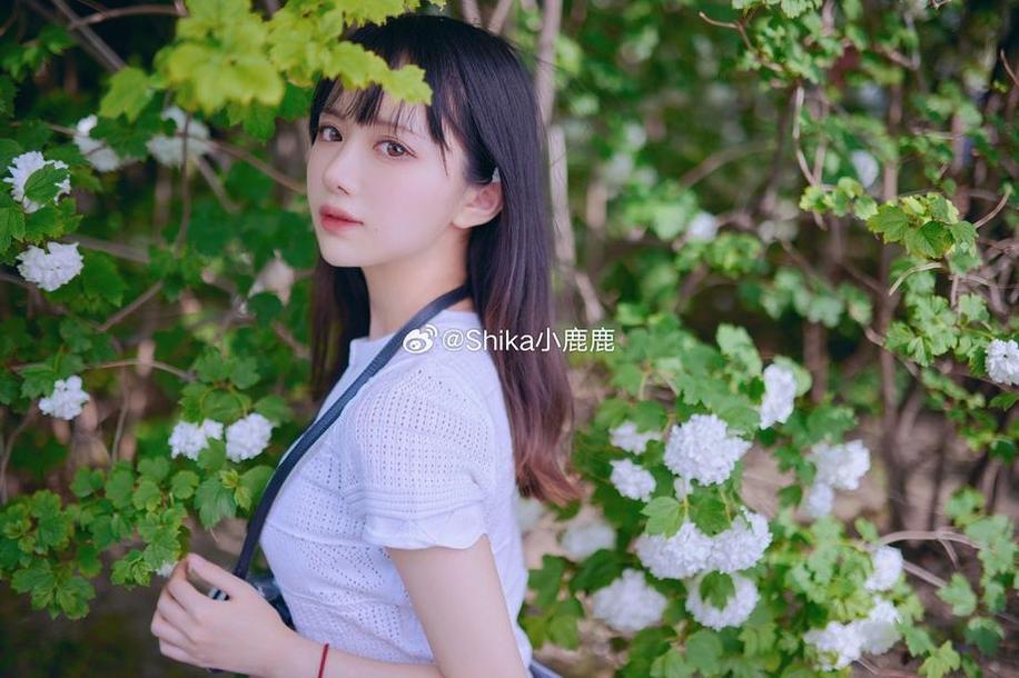 这组小鹿鹿shika图片可以说是一场视觉盛宴