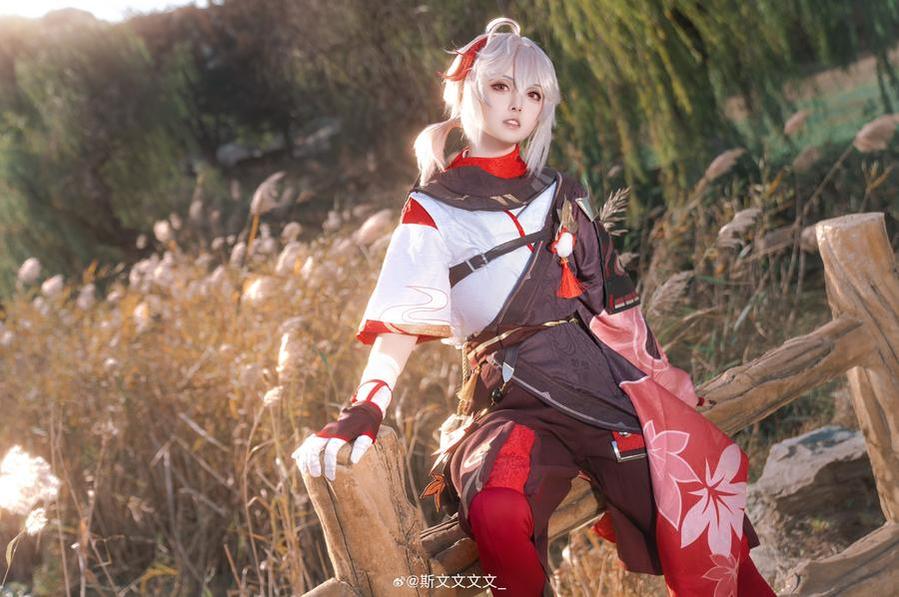 不得了了！斯文文文文送你猝不及防的精美图分享