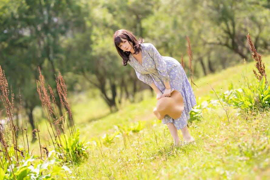 觅食高清壁纸，星之迟迟图包免费