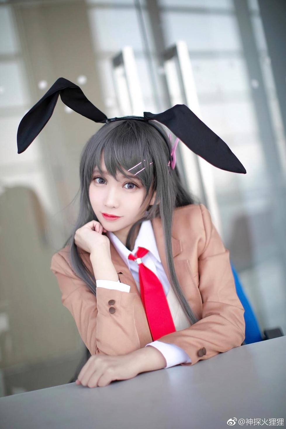 高清原图：神探火狸狸的代表作品