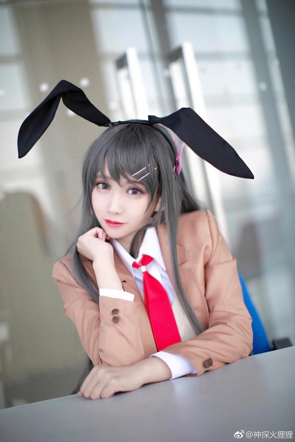 神探火狸狸图集照片作品合集