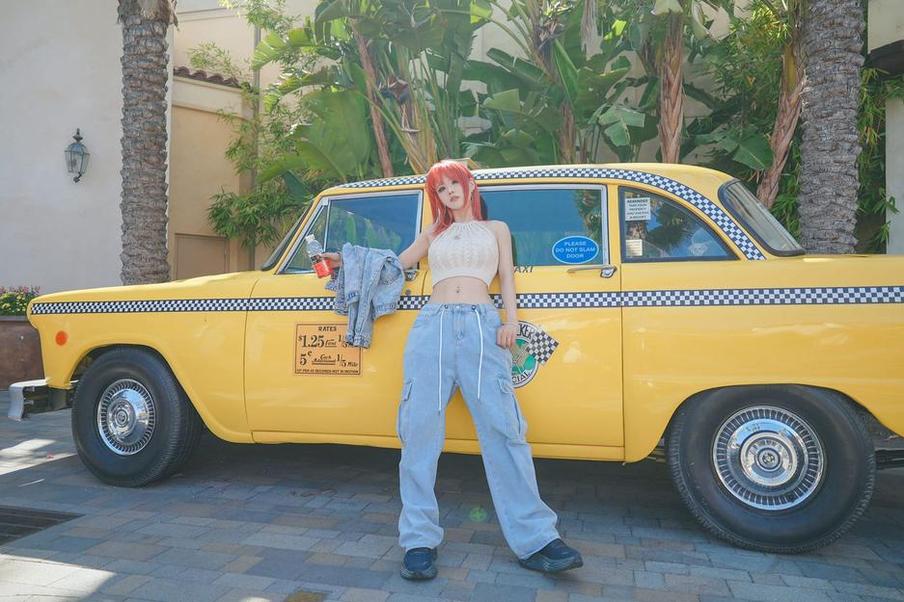 韩国螺旋猫的高清图片，让你一次看个够