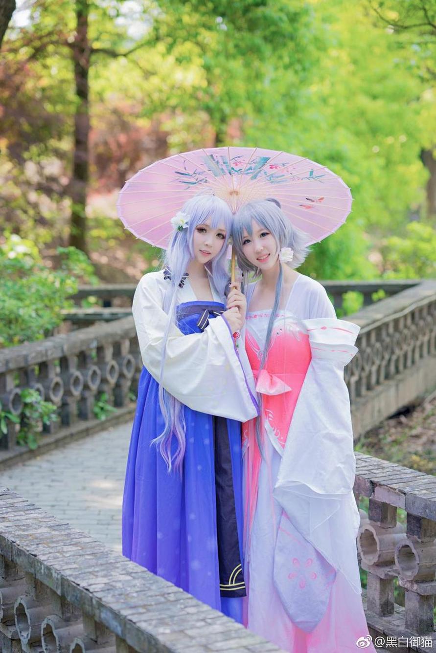 真·黑白御猫白猫原图来袭